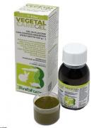 VEGETAL GEL 100 GRAMMI